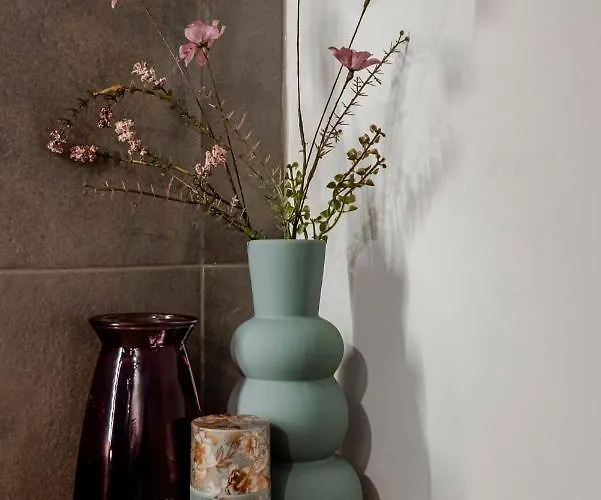 Apartamento Bed And Zandvoort