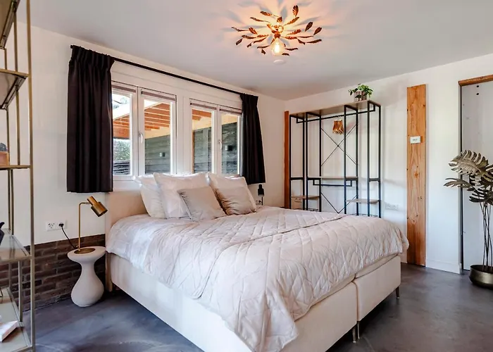 Bed And Apartamento Zandvoort