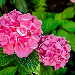 Bed&beach Apartament Zandvoort