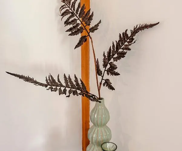 Bed And Apartman Zandvoort