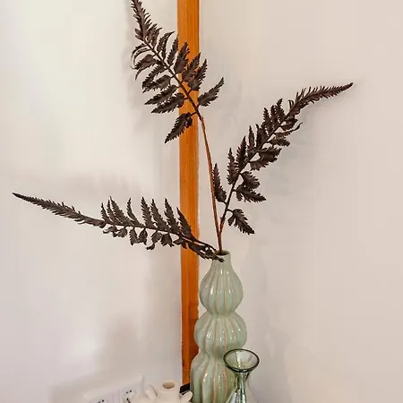 Bed And Daire Zandvoort